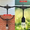 48 ft. Outdoor String Lights, Warm White Commercial Grade LED Patio Lights, 15 Bulbs