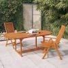 Folding Patio Chairs 2 pcs Solid Wood Eucalyptus